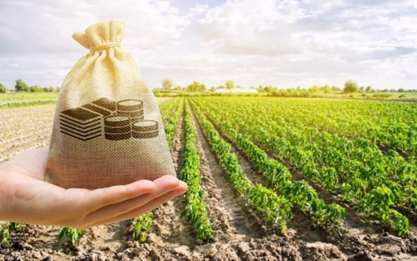 How to Get a Loan to Buy Agricultural Land