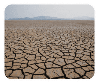 Climate